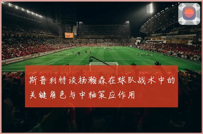 斯普利特谈杨瀚森在球队战术中的关键角色与中轴策应作用