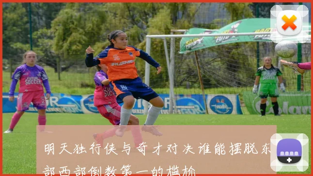 明天独行侠与奇才对决谁能摆脱东部西部倒数第一的尴尬