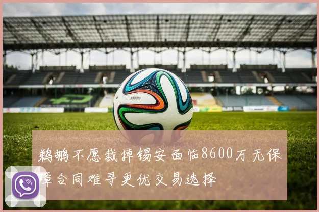 鹈鹕不愿裁掉锡安面临8600万无保障合同难寻更优交易选择