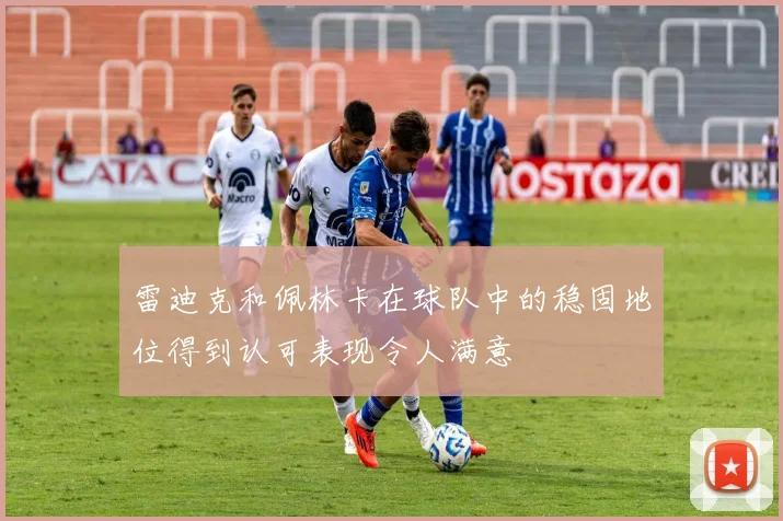 雷迪克和佩林卡在球队中的稳固地位得到认可表现令人满意