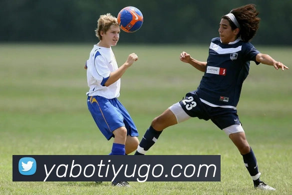 亚博体育服务体系